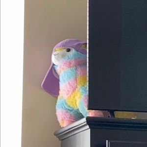 Meet your Posher, Taylor